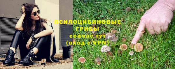твердый Балахна