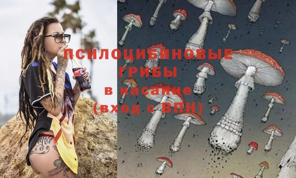не бодяженный Белокуриха