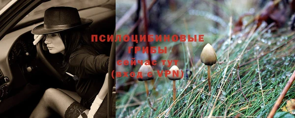 не бодяженный Белокуриха