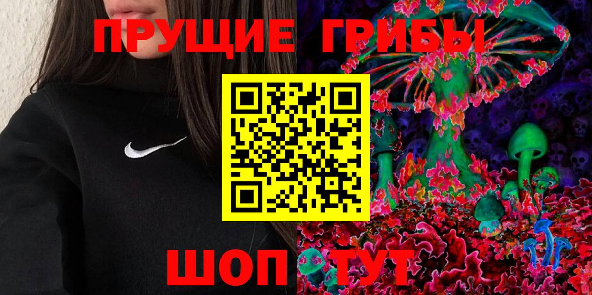Гусев  Галлюциногенные грибы MAGIC MUSHROOMS  Вход с VPN 
